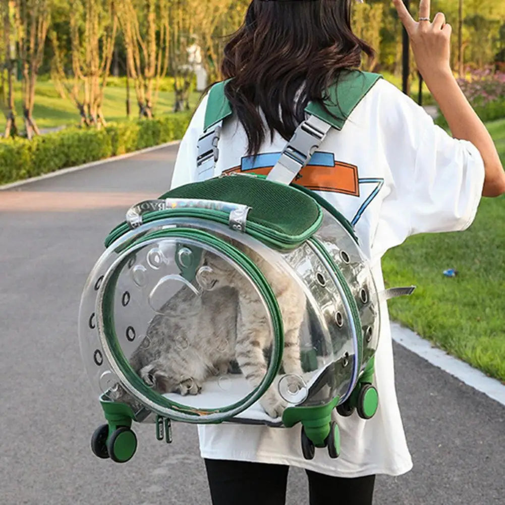 Pet Trolley Case Clear Ventilation Holes Portable Travel Backpack