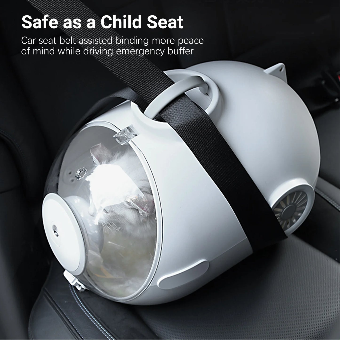 Breed Cat Handbag With Fan Breathable Carrier For Travel
