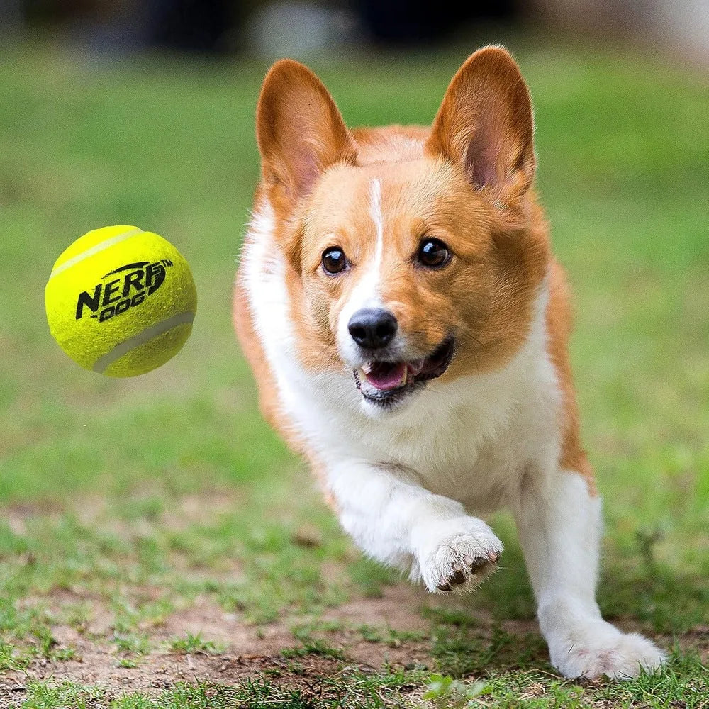 Nerf Dog Tennis Ball Blaster For Fetch Hands Free Reload