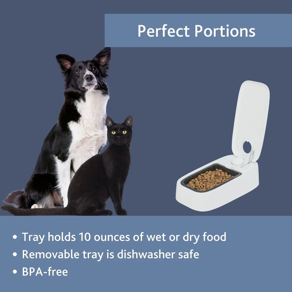 XMSJ Automatic Pet Feeder With Timer Programmable 10oz Tray