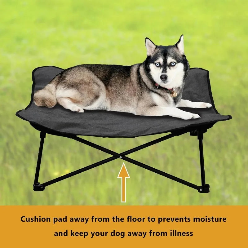 Elevated Dog Bed Portable Raised Pet Cot Indoor Folding Bed with Carrying Bag