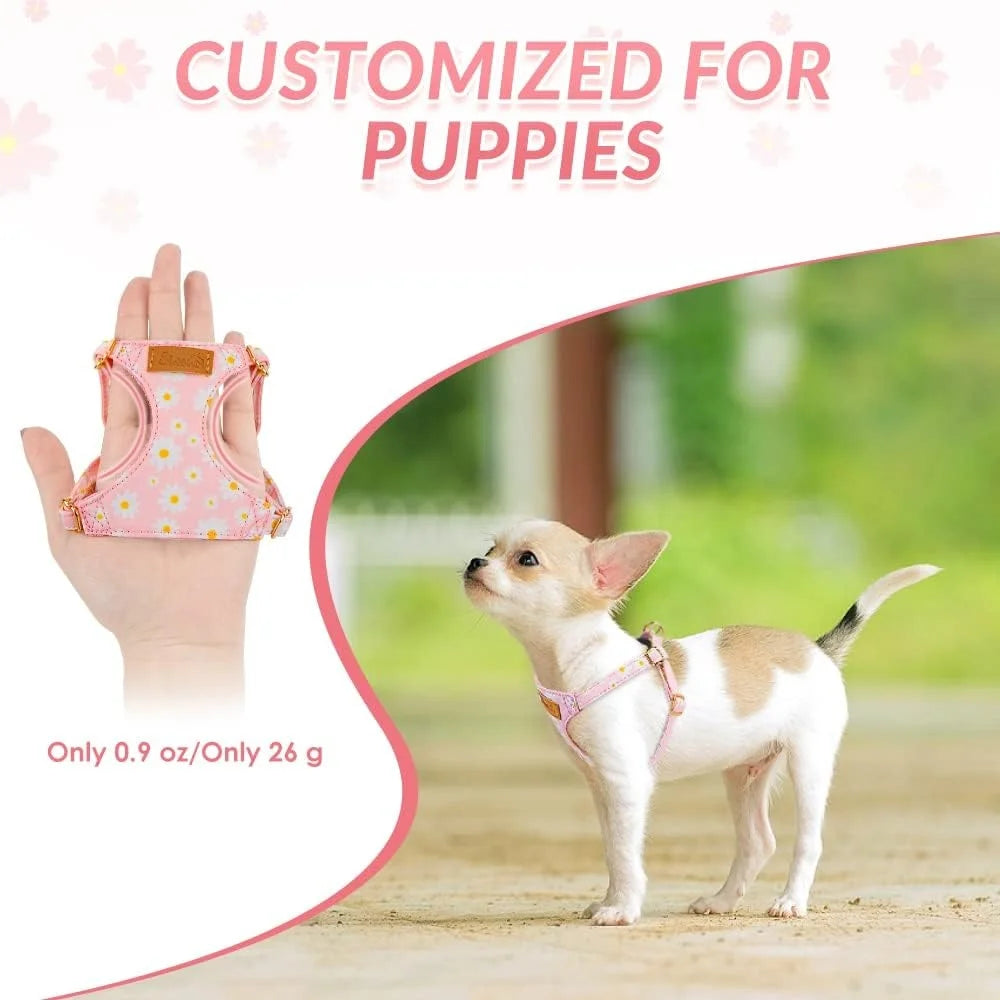 Fujian No Pull Dog Harness Floral Lightweight Design