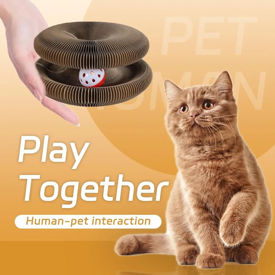 Kitty Kurlz Foldable Cat Scratching Board Duo Toy Sets