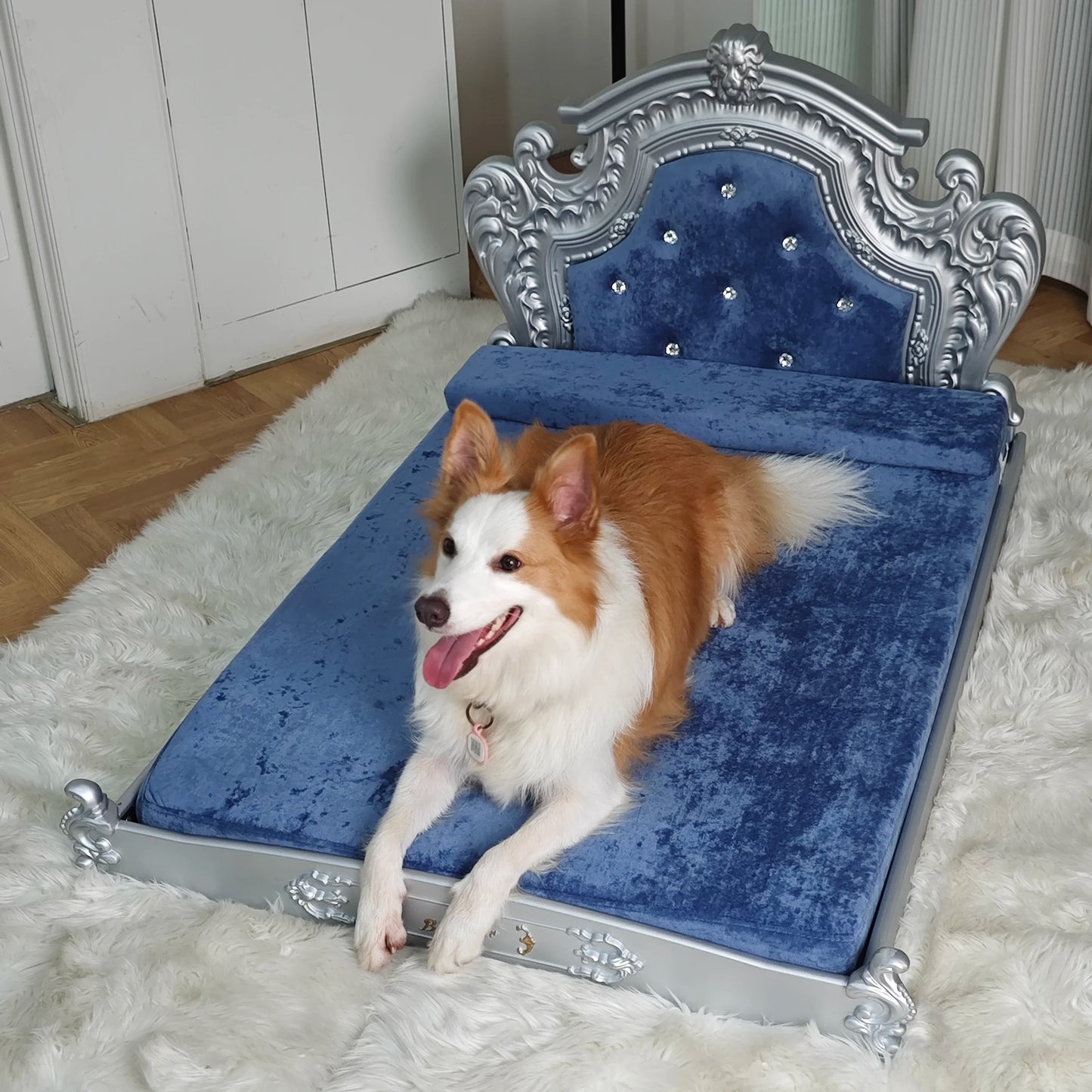 Bingopawcn Luxury Pet Bed With Headboard And Velvet Cover