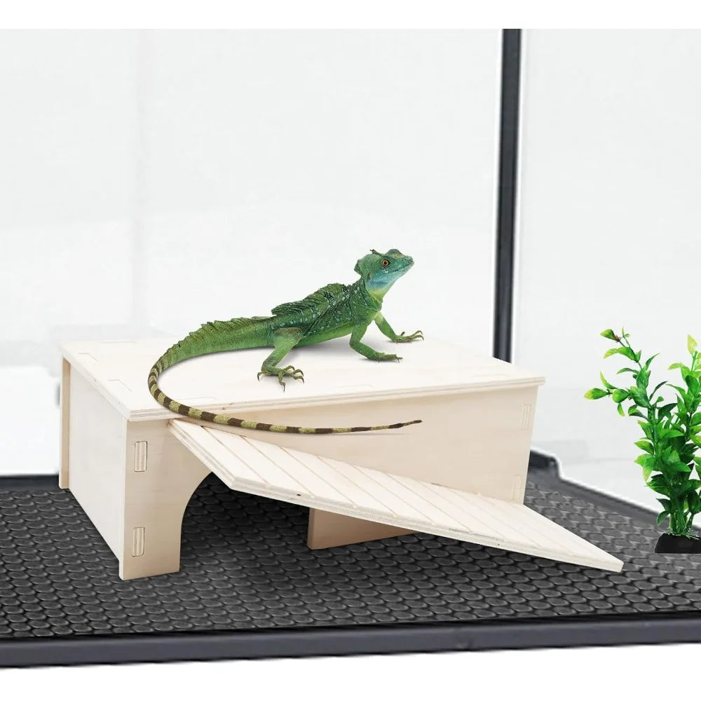 Hign-concerned Reptile Habitat With Basking Platform