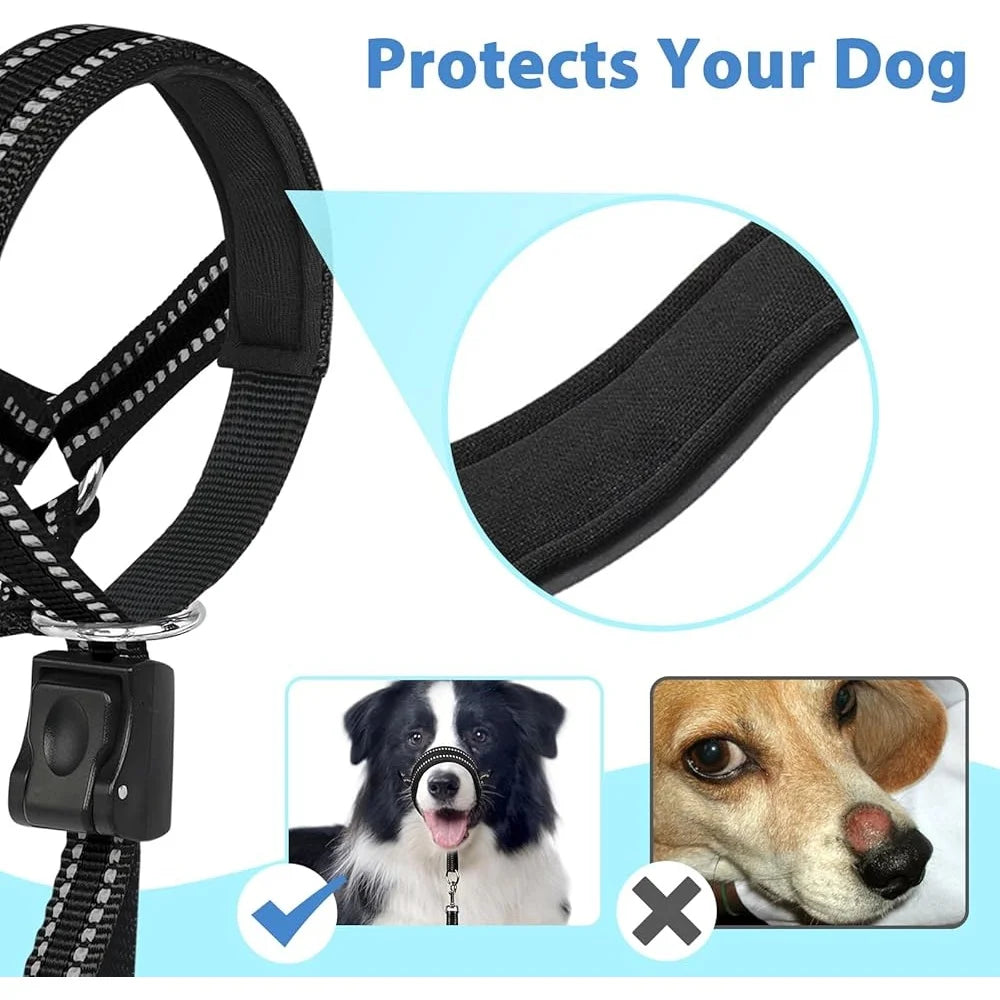 Fujian Dog Head Collar No Pull Training Halter Reflective