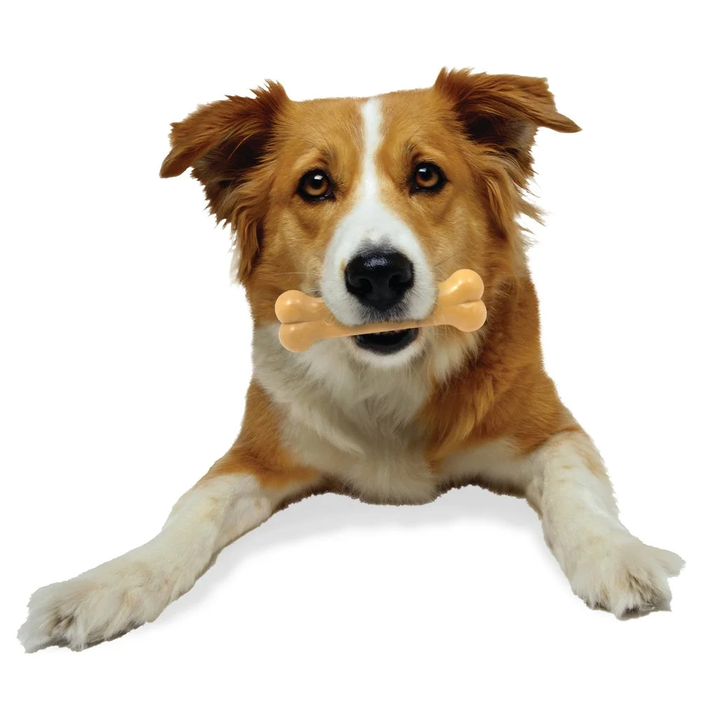 Durable Nylon Dog Chew Toy Power Chew Bone Peanut Butter Flavor for Aggressive Chewers
