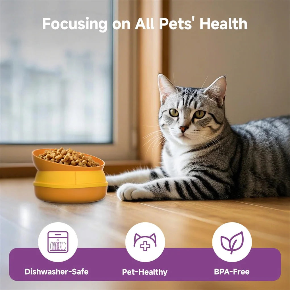 5-in-1 Burger Pet Bowls Set for Dogs and Cats with Elevated and Slow Feeder Design