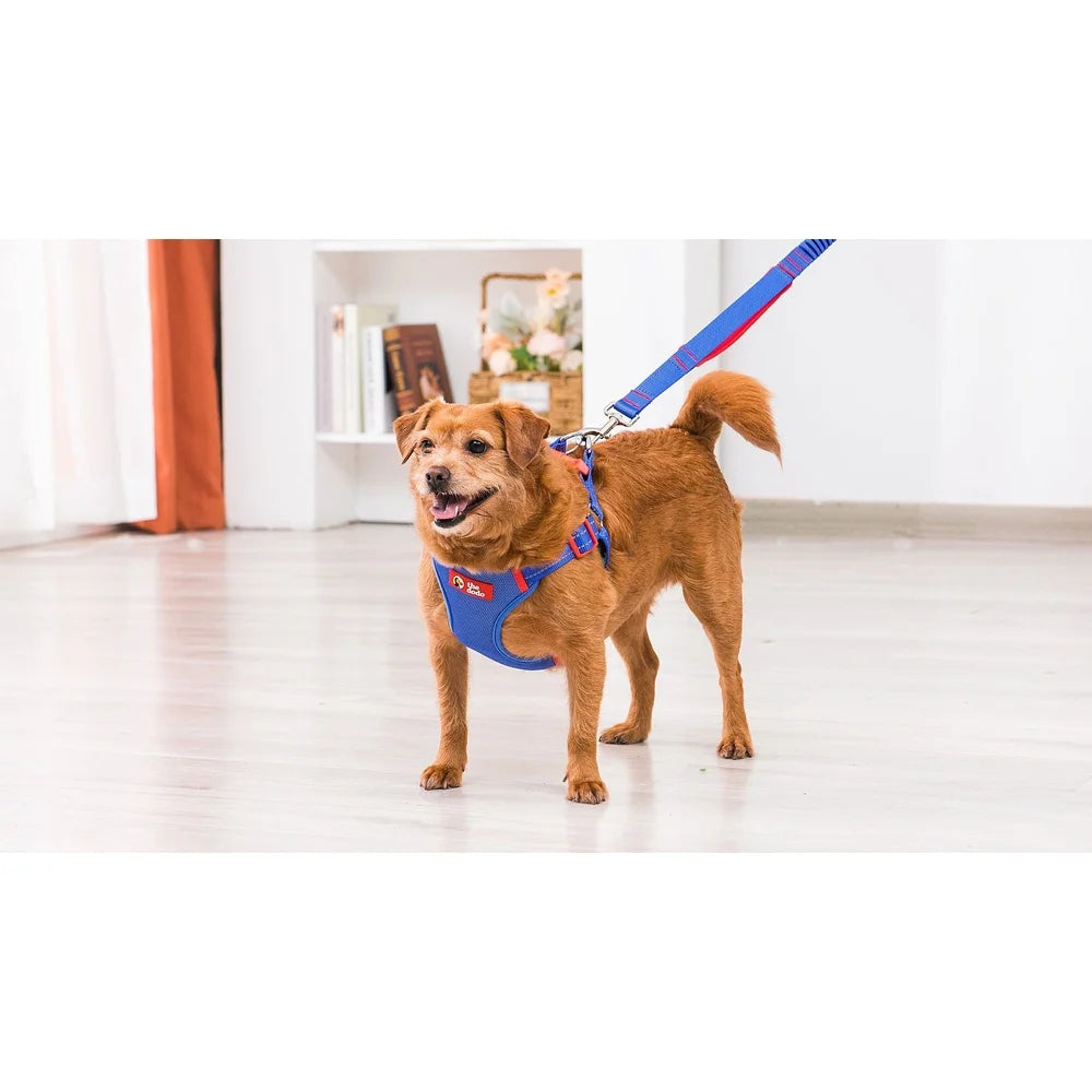 Dutrieux Adjustable Breathable Mesh Harness Step In Style