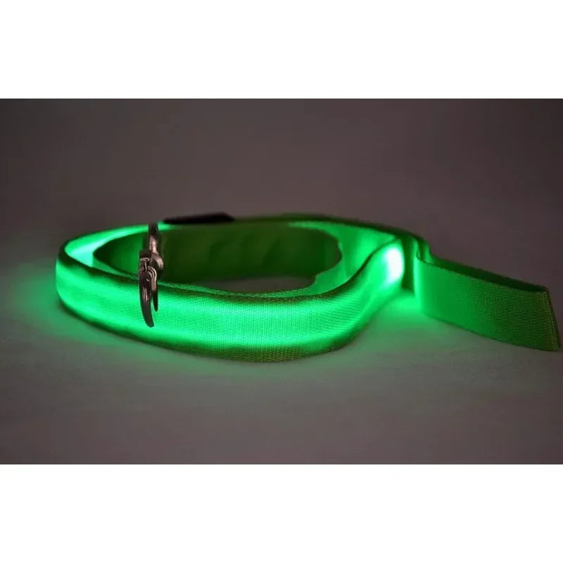 Luminous LED Dog Leash Rope Harness Collar for Safety and Visibility at Night