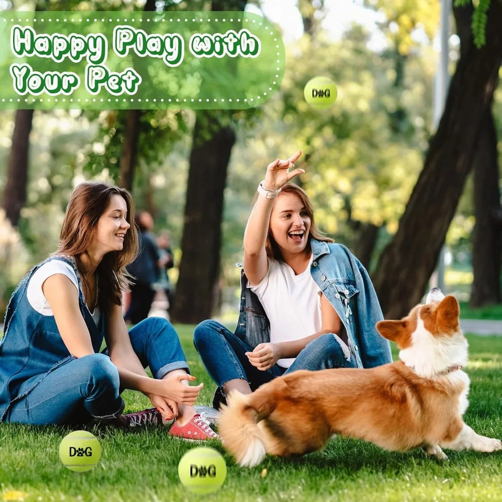 Dog Tennis Balls Bulk Pack With Carry Bags And Toys