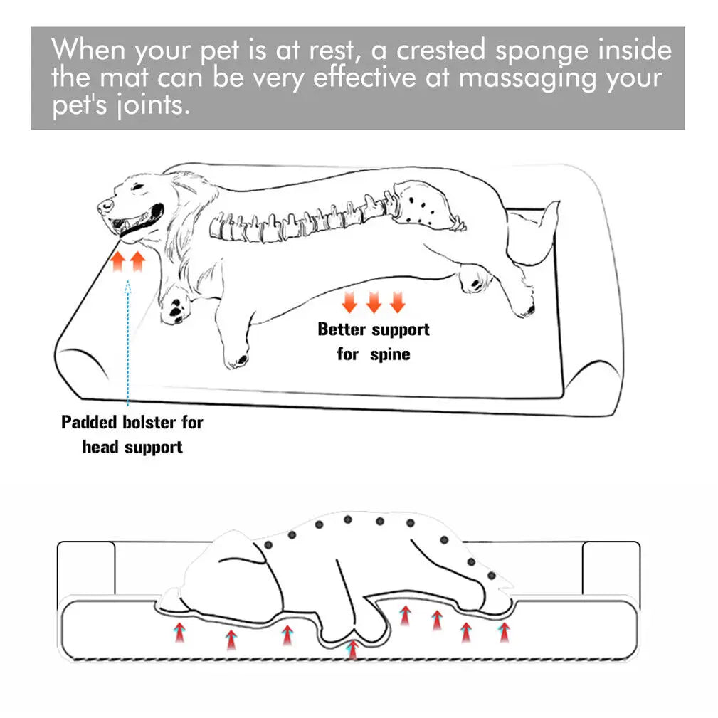 BINGOPAWCN Orthopedic Dog Bed Removable Cover Cushion