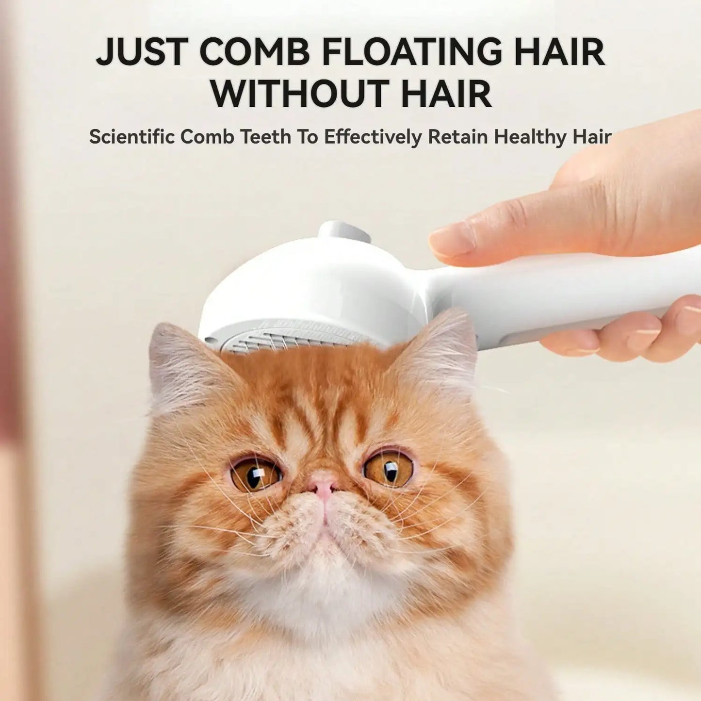 Cat Steam Brush and Spray Grooming Comb for Easy Shedding and Hair Removal