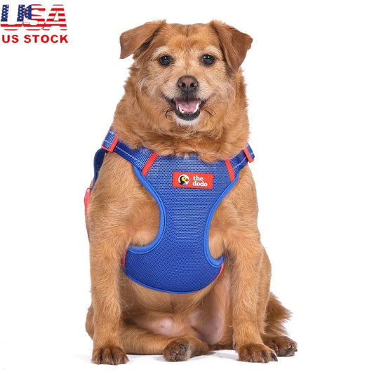Dutrieux Adjustable Breathable Mesh Harness Step In Style