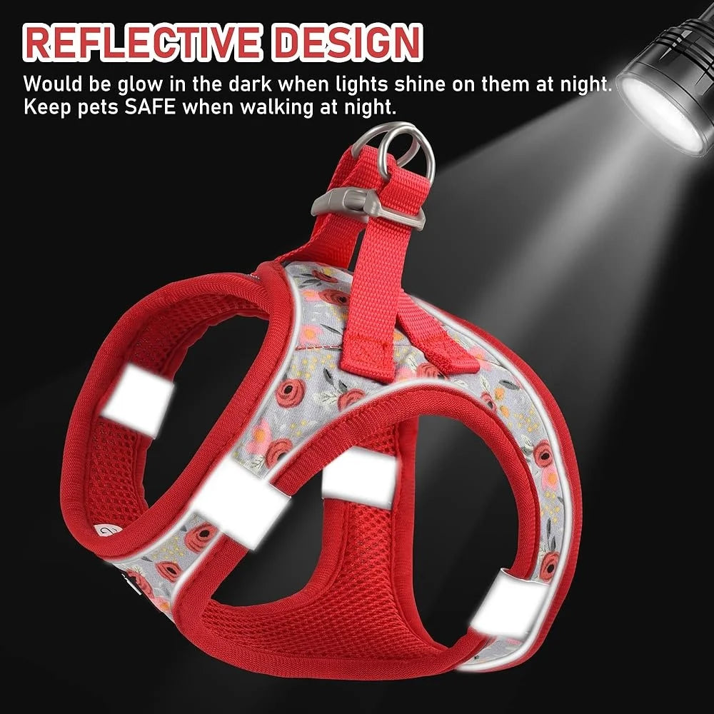 CN Fujian Adjustable Small Dog Harness Leash Set Reflective
