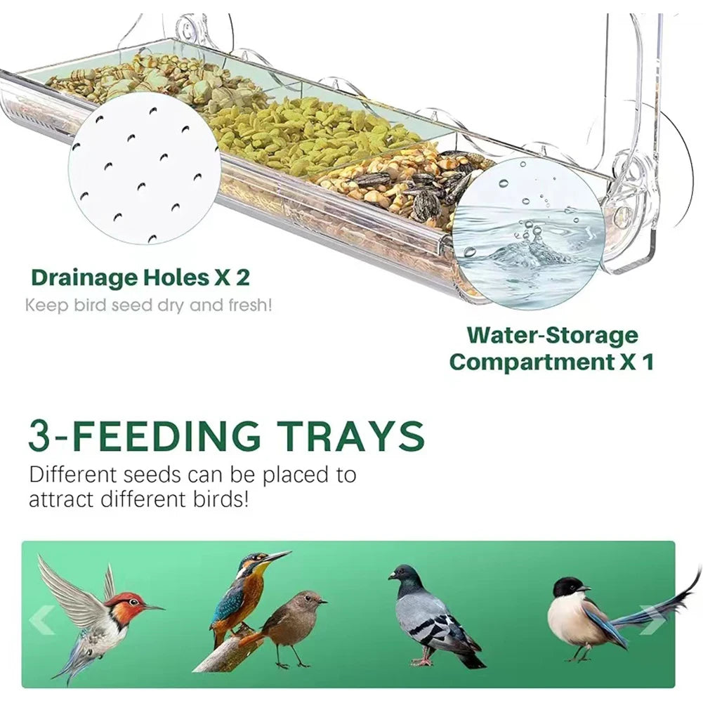 Window Mounted Bird Feeder with Strong Suction Cups for Outdoor Gardens