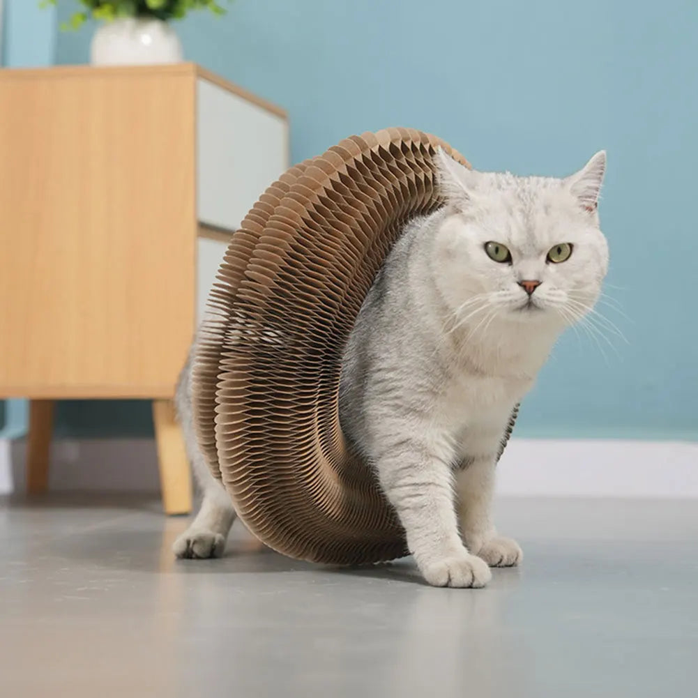 Magic Organ Foldable Round Cat Scratching Board Interactive Pet Toy