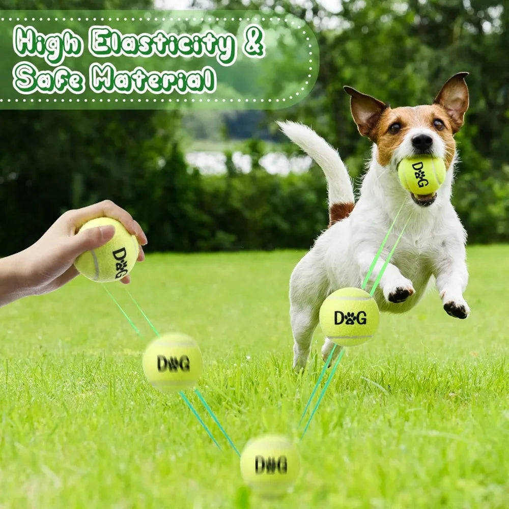 Dog Tennis Balls Bulk Pack With Carry Bags And Toys