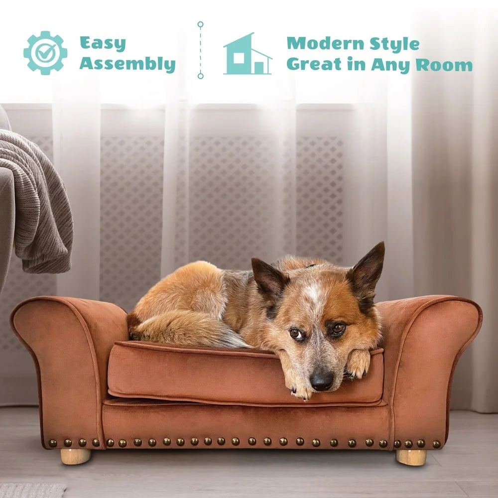Elegant Faux Velvet Pet Bed Sofa for Medium Dogs and Cats with Removable Cushion