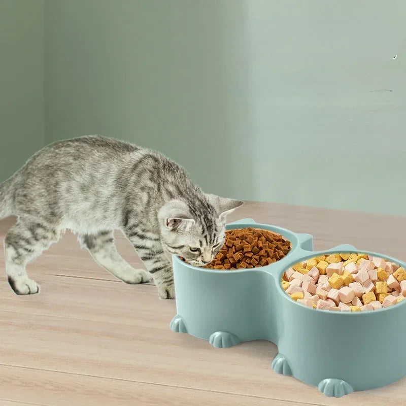 Tilted Raised Cat Food Bowls Elevated Feeding Set for Healthy Mealtime