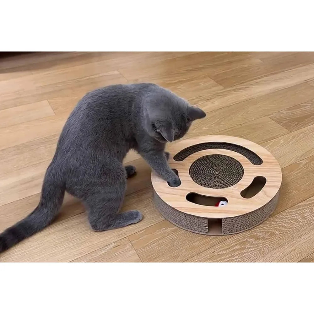 Hign Concerned Cat Puzzle Toy Cardboard Scratcher Balls
