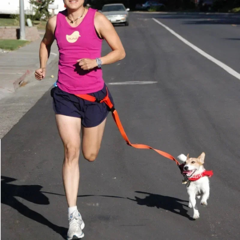 Adjustable Pet Lead Belt for Dogs and Cats Hands-Free Jogging Supplies
