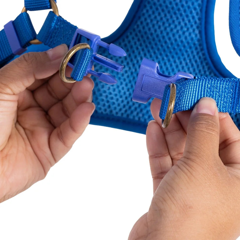 Dutrieux Adjustable Breathable Mesh Harness Step In Style