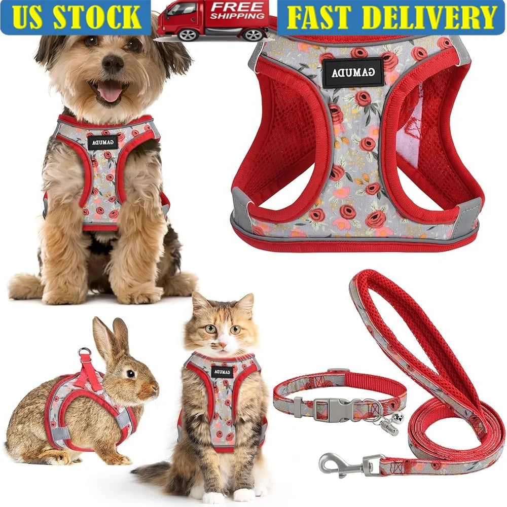 CN Fujian Adjustable Small Dog Harness Leash Set Reflective