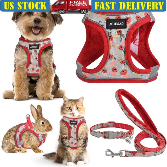 CN Fujian Adjustable Small Dog Harness Leash Set Reflective