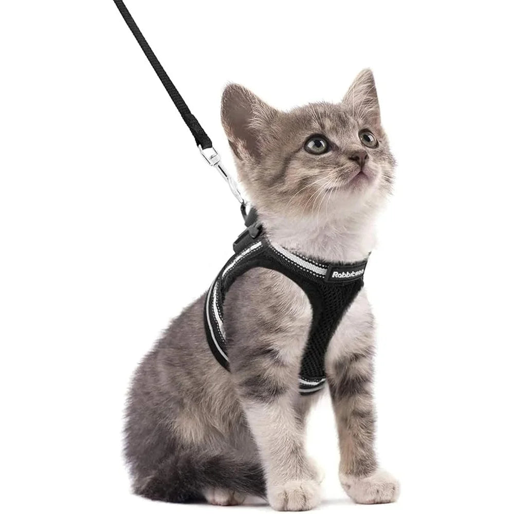 Escape Proof Cat Harness and Leash Set Adjustable Soft Vest for Outdoor Walks