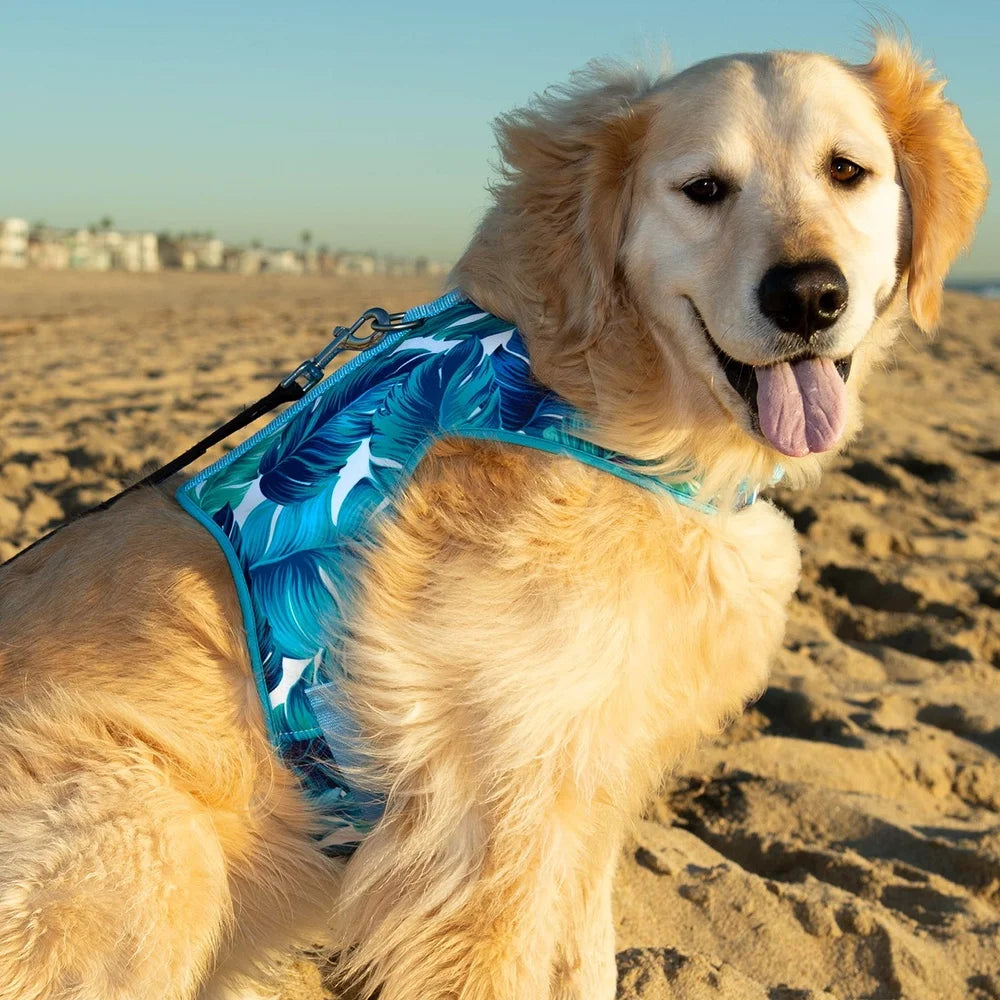 DUTRIEUX Tropical Leaf Adjustable Dog Harness D Ring Straps