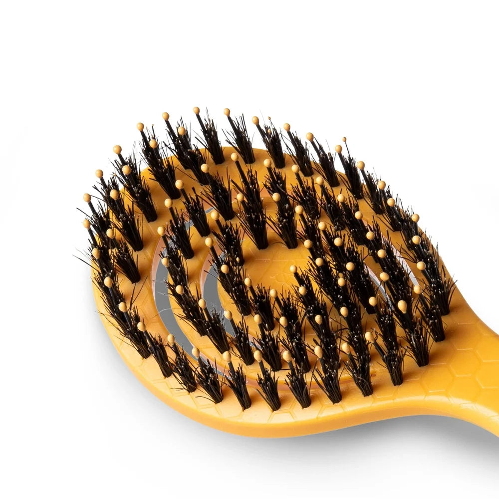DUTRIEUX Porcupine Bristle Grooming Brush For Dogs Deluxe