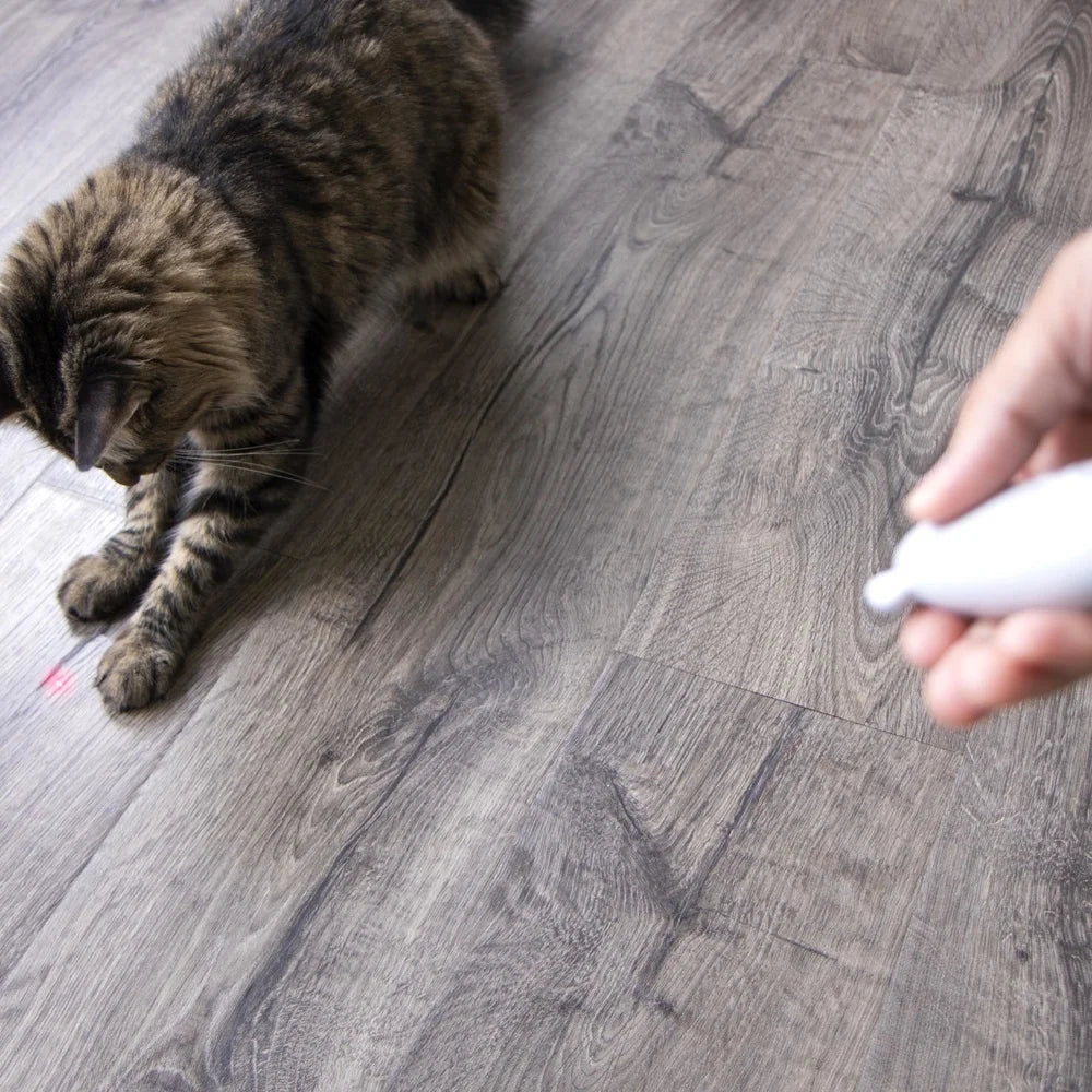 2 Pack Loco Laser Electronic Cat Toy Interactive Exercise for Kids and Pets