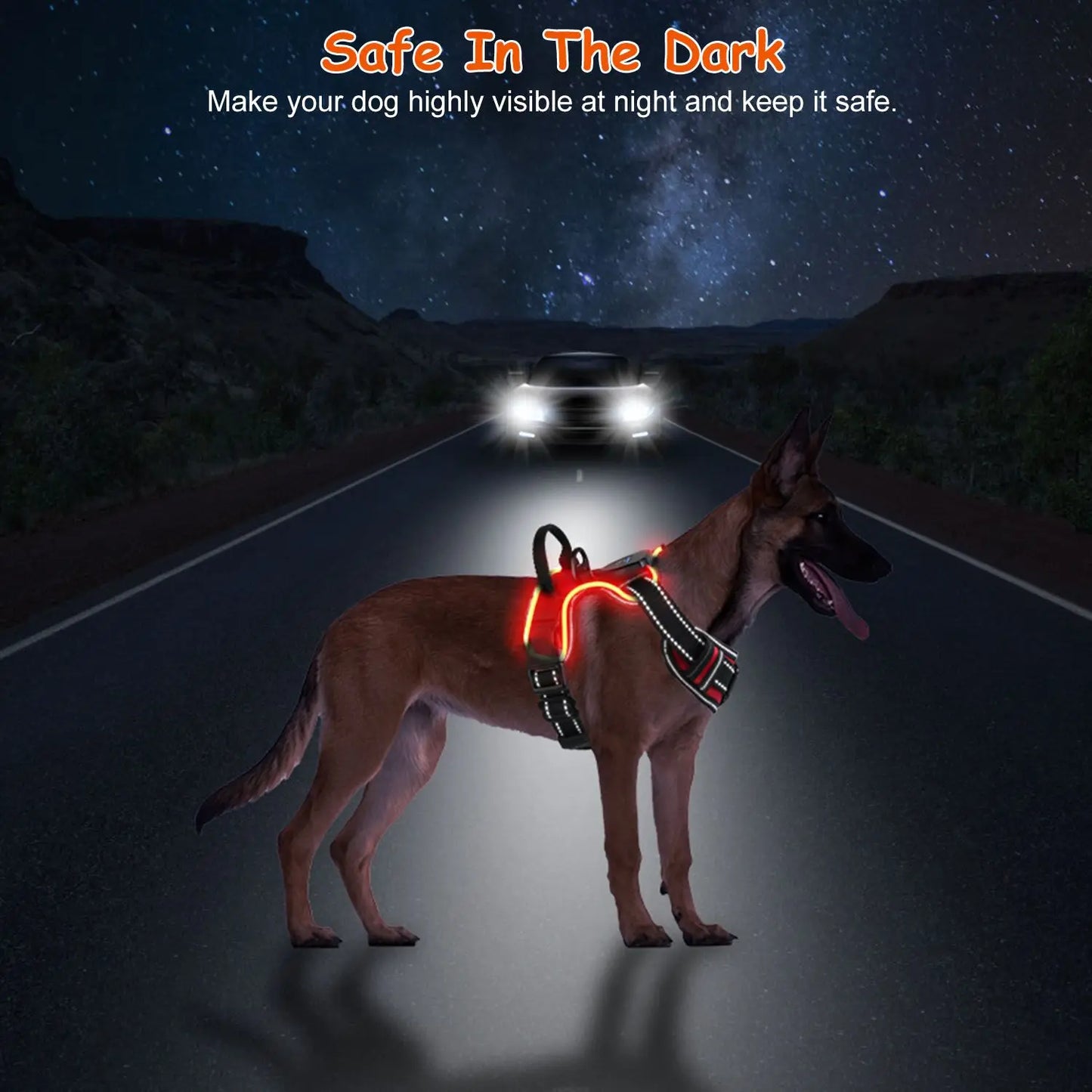HunanHign-concerned LED Light Up Dog Harness With Handle