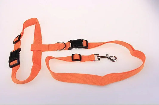 Adjustable Pet Lead Belt for Dogs and Cats Hands-Free Jogging Supplies