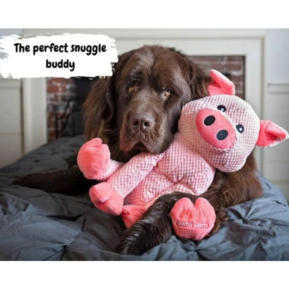 Gentle Giants Plush Dog Toy Enrichment for All Dogs