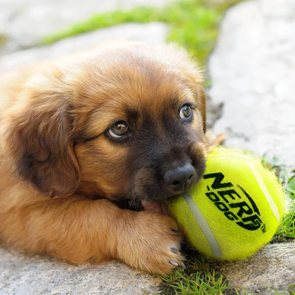 Nerf Dog Tennis Ball Blaster For Fetch Hands Free Reload