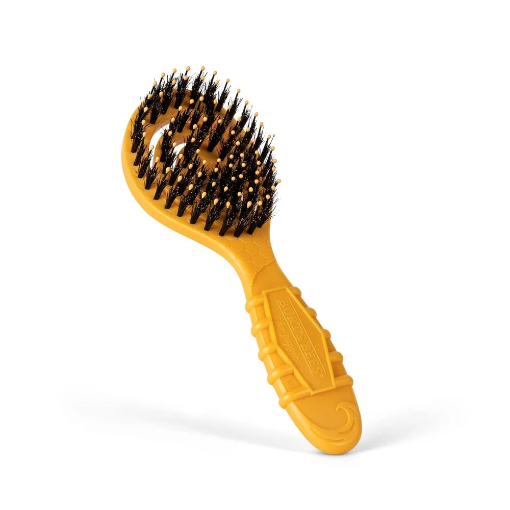 DUTRIEUX Porcupine Bristle Grooming Brush For Dogs Deluxe