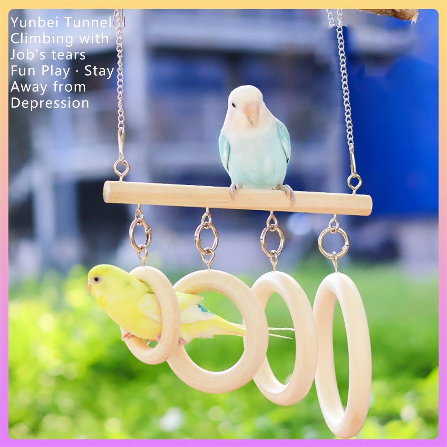 Natural Wooden Bird Perch Swing With Circle Tunnel Toy