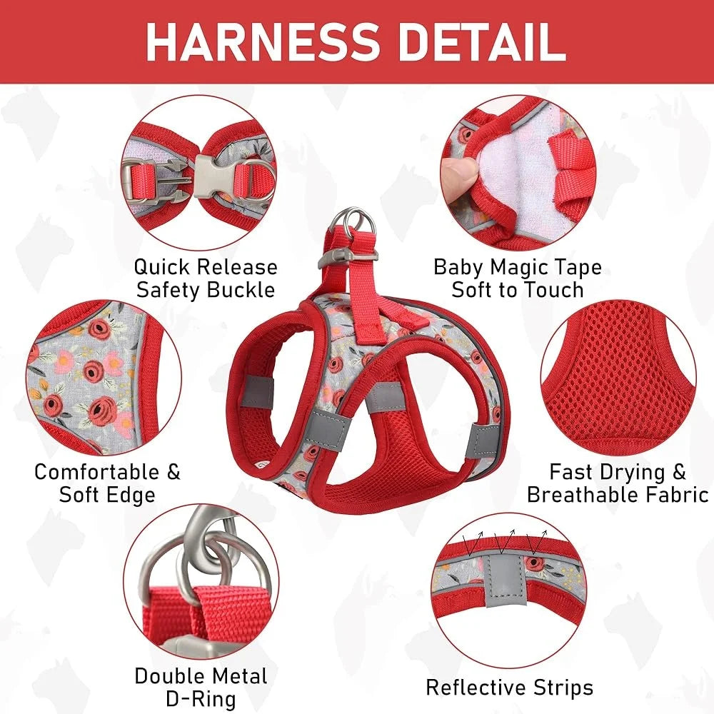CN Fujian Adjustable Small Dog Harness Leash Set Reflective