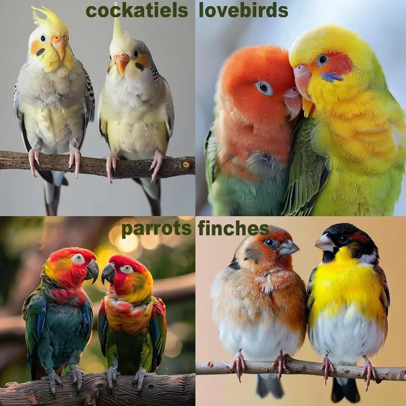 ZhejiangHign Wood Bird Toys 7Pcs Perch Swing Set Parakeets