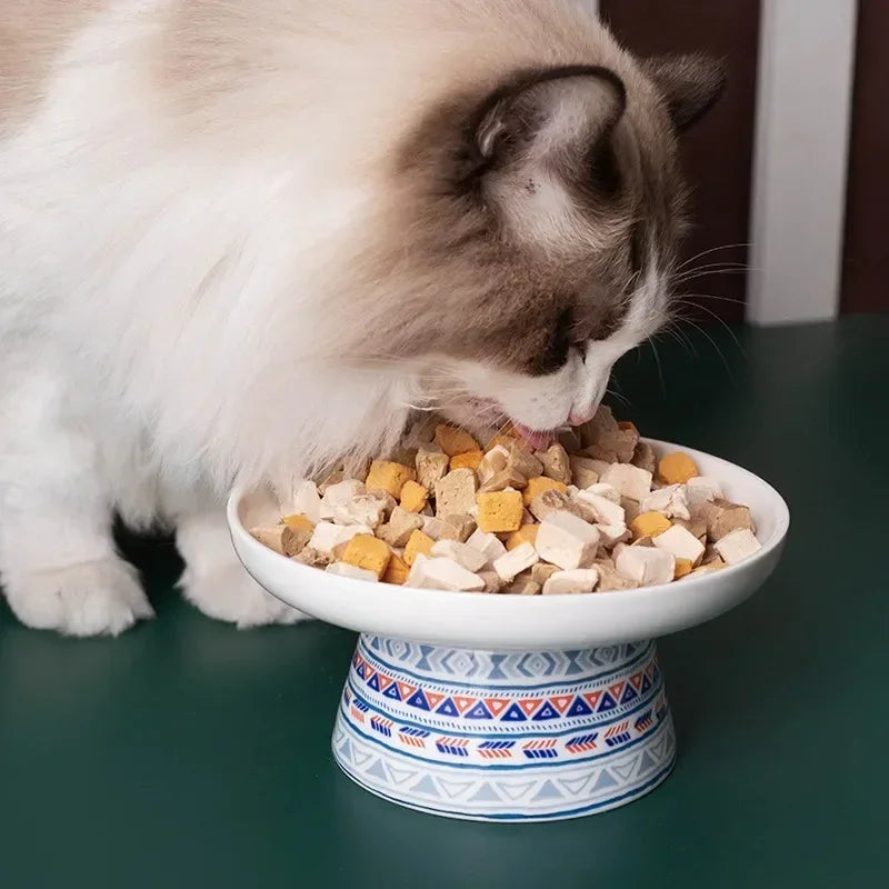 Hign Concerned Cat Ceramic Raised Feeding Bowl For Pets