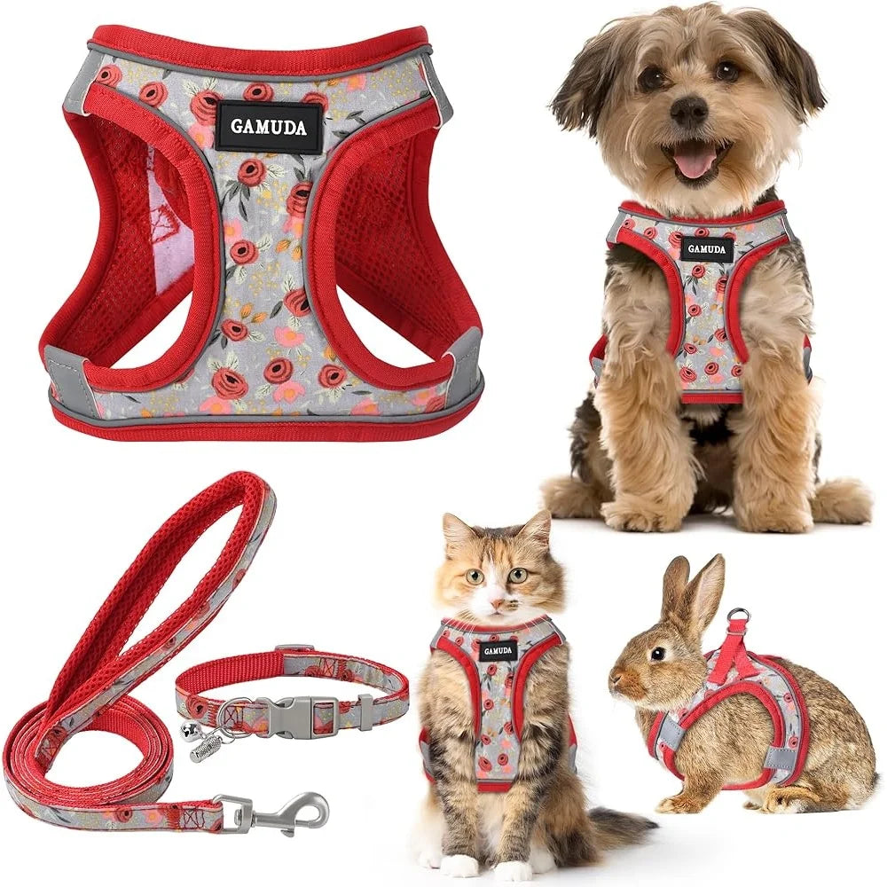 CN Fujian Adjustable Small Dog Harness Leash Set Reflective