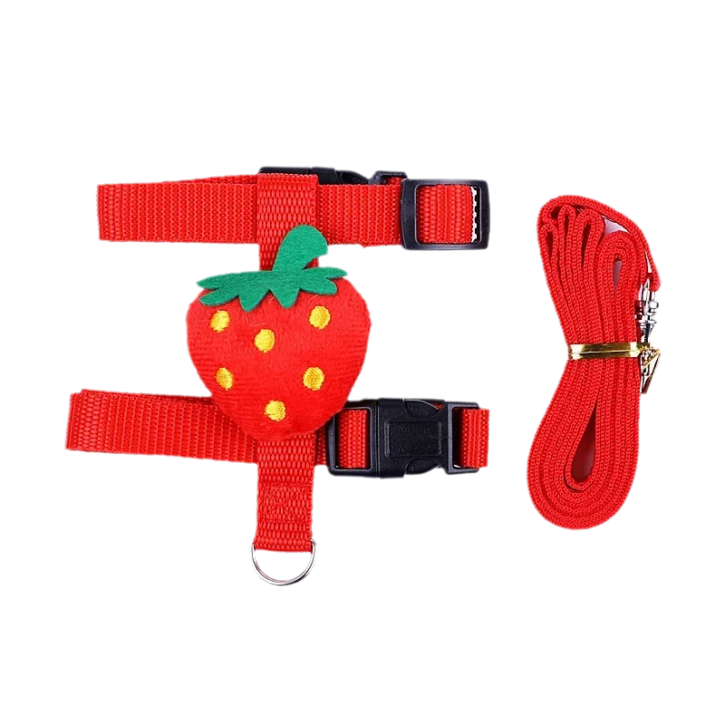 Walking Bunny Guinea Pig Harness Leash Set for Small Animals and Pets