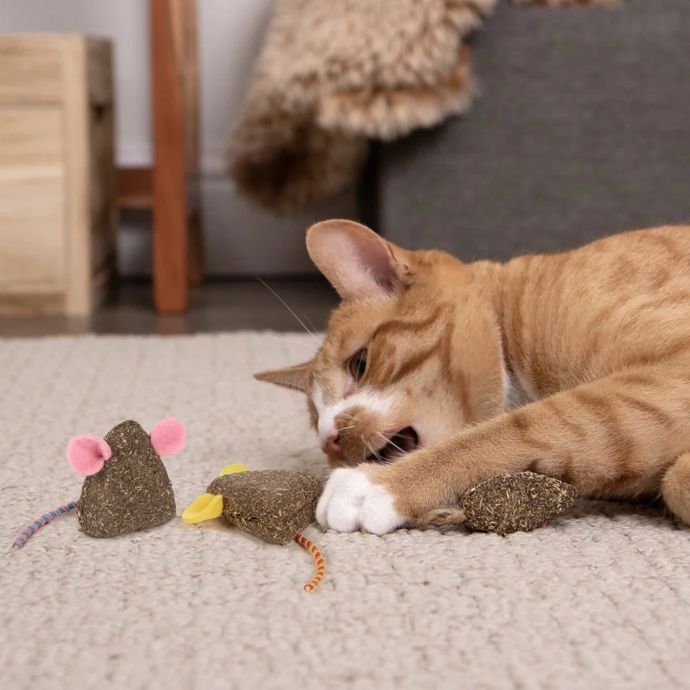 XMSJCN Catnip Mice Toys 3 Pack Elastic Tails Felt Ears
