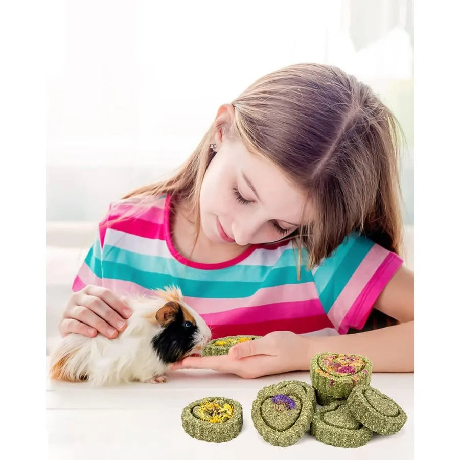 Hign Concerned Timothy Hay Treats Natural Chews For Teeth