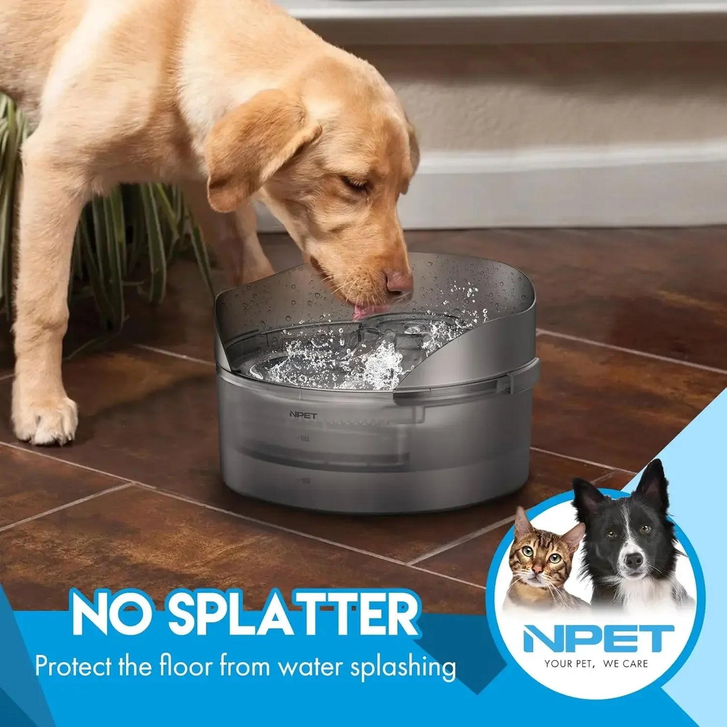 Hign Concerned Chemical NPET DF10 SG Dog Water Fountain
