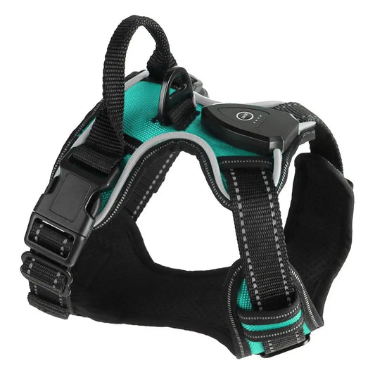 HunanHign-concerned LED Light Up Dog Harness With Handle