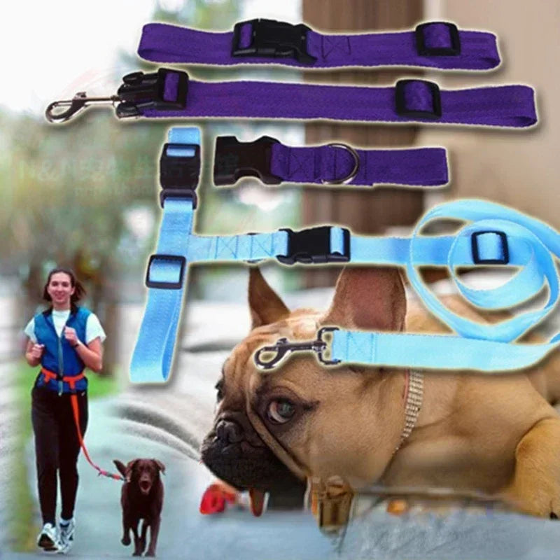 Adjustable Pet Lead Belt for Dogs and Cats Hands-Free Jogging Supplies