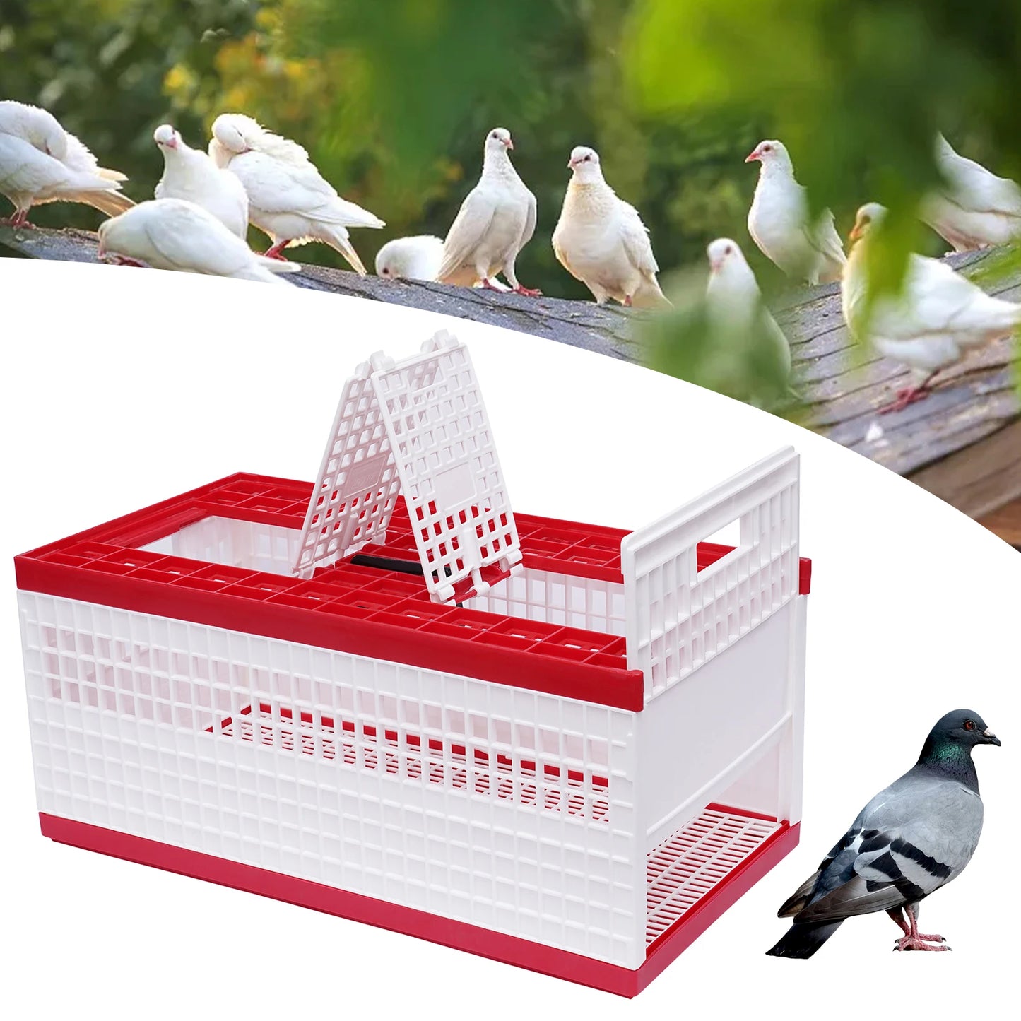 Foldable Pigeon Cage With Handle Plastic Carrier For Pigeons